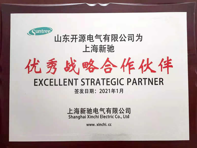 上海新驰优秀战略合作伙伴